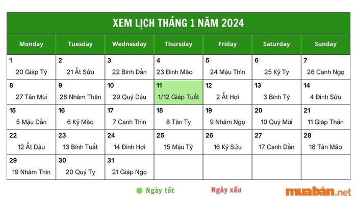 Khám phá chi tiết về ngày 11/1/2024