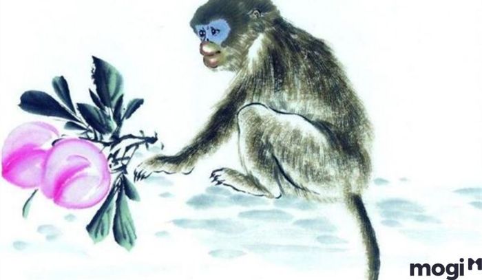 Giờ Thân là mấy giờ – Tử vi cho người tuổi Dậu sinh vào giờ Thân