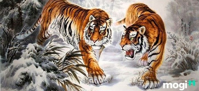 Giờ Dần là mấy giờ? Những đặc điểm nổi bật của nam giới sinh vào giờ Dần