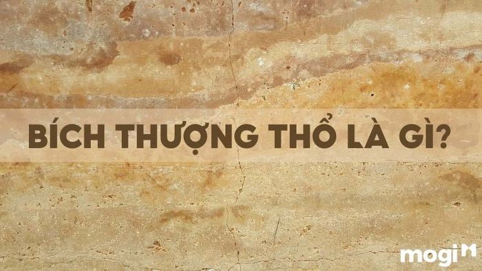 Bích Thượng Thổ
