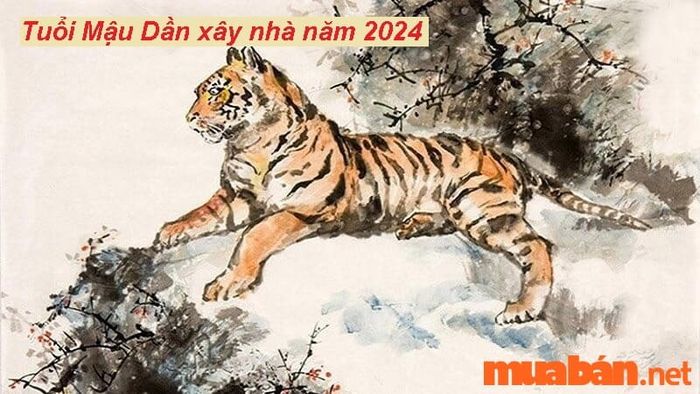 Xây nhà cho gia chủ tuổi Mậu Dần vào năm 2024 liệu có thuận lợi không?