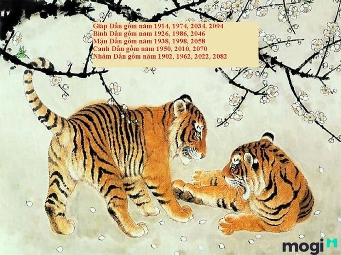 Tuổi Dần là con gì và những ai sinh vào năm con Hổ thuộc năm nào?