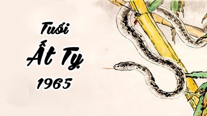 Đối với gia chủ nam tuổi Ất Tỵ 1965