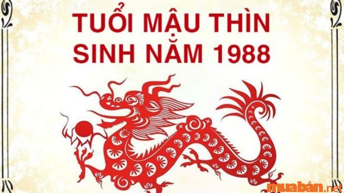 Tử vi chi tiết của gia chủ tuổi Mậu Thìn 1988