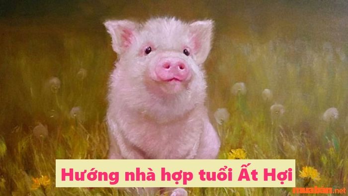Tuổi Ất Hợi hợp hướng nào