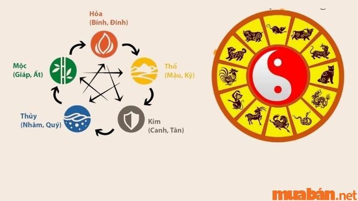 Tử vi Tân Hợi 1971 nữ mạng năm 2024 xét theo thiên can