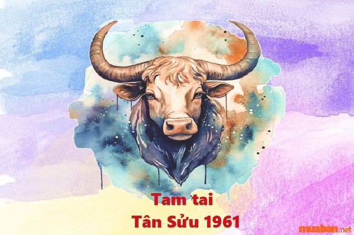 Liệu tuổi Tân Sửu năm 2024 có gặp phải Tam Tai hay không?