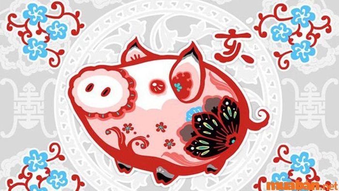 Luận giải lá số tử vi Tân Hợi 1971 nữ mạng năm 2024 chi tiết 12 tháng