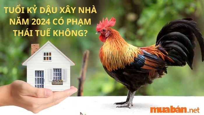 Liệu tuổi Kỷ Dậu xây nhà năm 2024 có phạm Thái Tuế hay không?