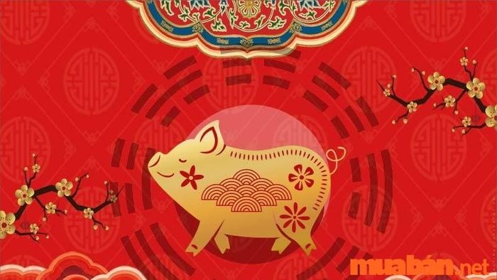 Tử vi năm 2024 cho nữ mạng Đinh Hợi 2007