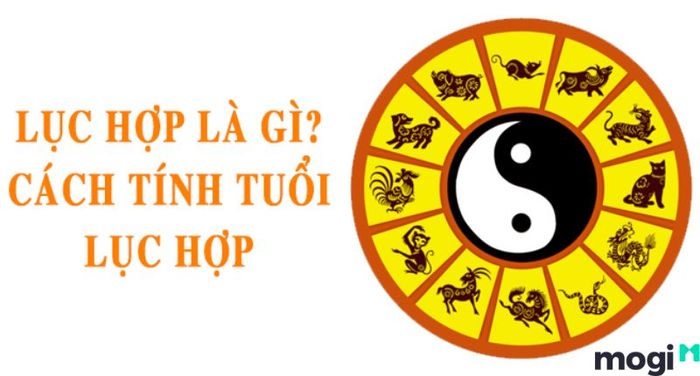 Lục hợp là gì?