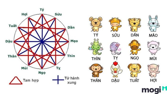 Lục hợp là gì?