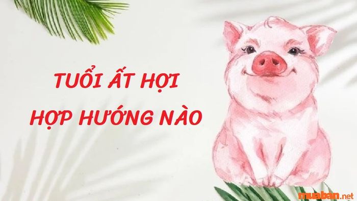 Tuổi Ất Hợi hợp với hướng nào? Hãy cùng tìm hiểu thêm để lựa chọn hướng nhà, hướng bếp, hướng bàn thờ phù hợp nhất.