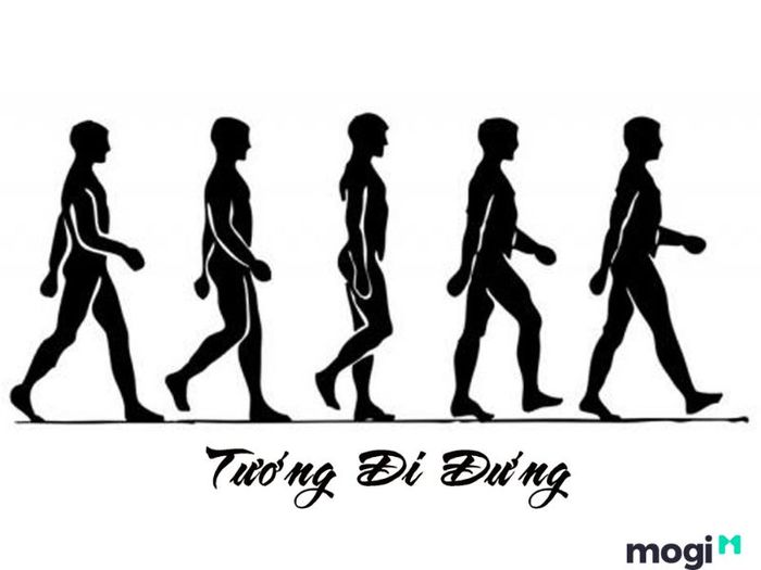 Quan sát tướng qua dáng đi