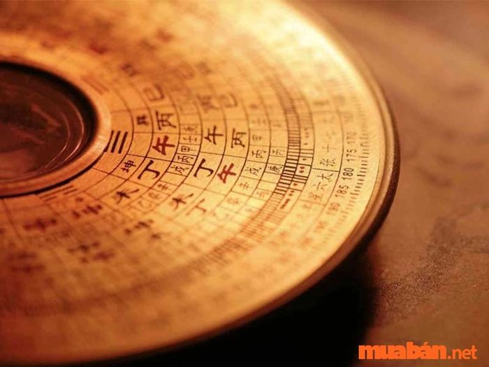Vào đầu năm 2024, nữ mạng Đinh Hợi 2007 nên chọn hướng Đông Nam để gặp may mắn, đón Thần Tài.
