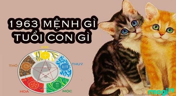 1963 tuổi gì?