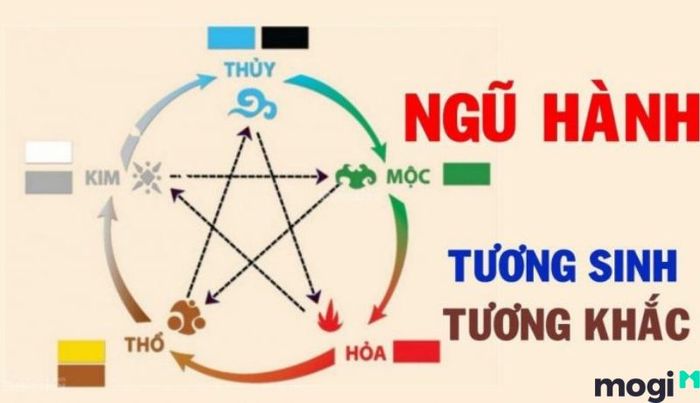 Lục hợp là gì?