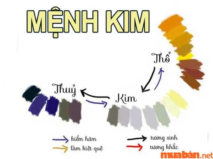 Nữ Tân Tỵ 2001 hợp với màu thuộc mệnh Kim