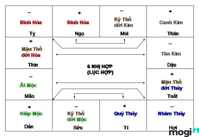 Lục hợp là gì?