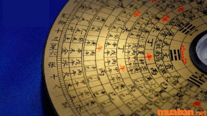 Tử vi Tân Hợi 1971 nữ mạng năm 2024 xét theo cung phi