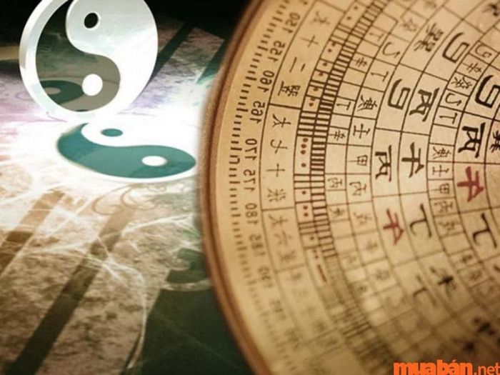Cung phi của nữ Tân Tỵ 2001 là Đoài