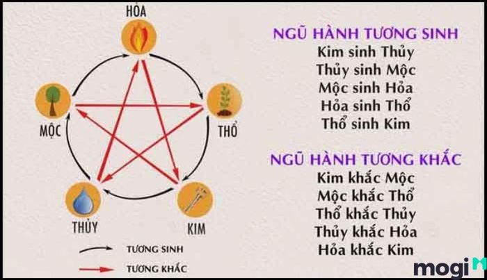 Lục hợp là gì?