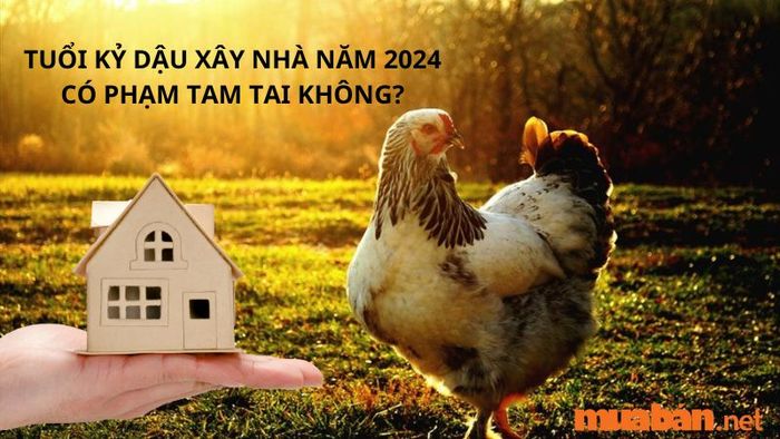 Liệu tuổi Kỷ Dậu xây nhà năm 2024 có phạm phải Tam Tai hay không?