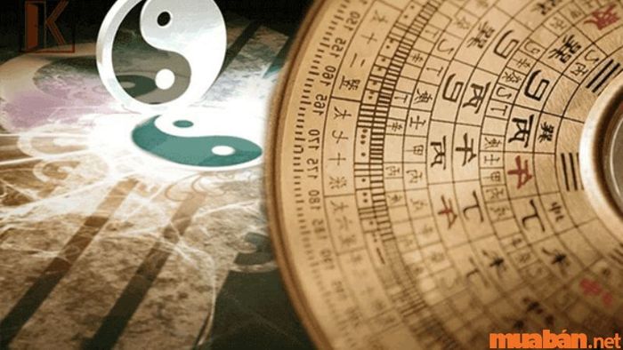 Những câu hỏi phổ biến về tử vi Tân Hợi 1971 nữ mạng năm 2024