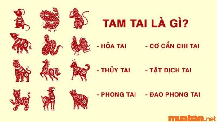 Gia chủ tuổi Mậu Thìn 1988 xây nhà năm 2024 cần phải lưu ý tránh phạm phải Tam Tai