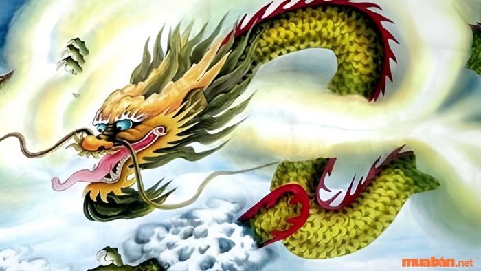 Tìm hiểu sơ lược về gia chủ sinh năm Bính Thìn 1976.