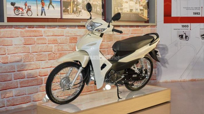 Màu vàng là màu sắc lý tưởng cho nữ tuổi Nhâm Thân 1992, mang lại sự hạnh phúc, may mắn và thành công trong mọi lĩnh vực.
