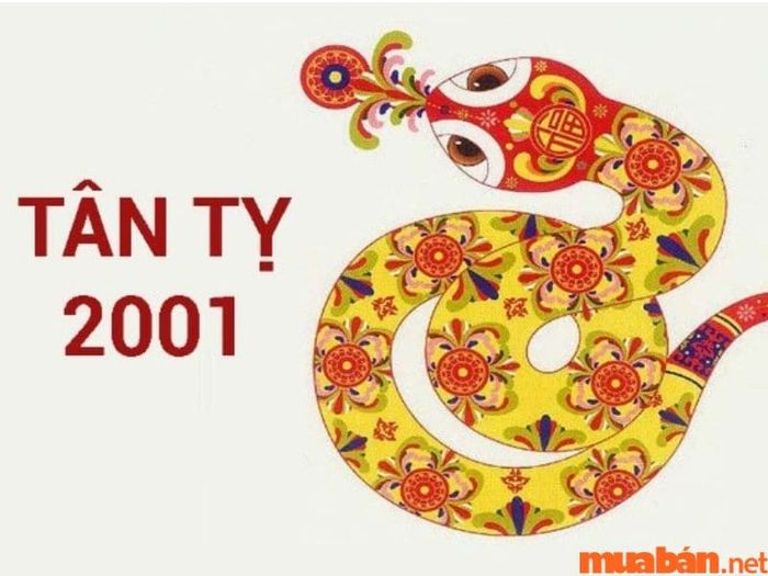 Nữ mạng 2001 Tân Tỵ phạm phải Kim Lâu.
