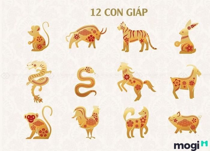 Tuổi Dần, con hổ trong 12 con giáp, thực sự không còn quá xa lạ với tất cả mọi người.