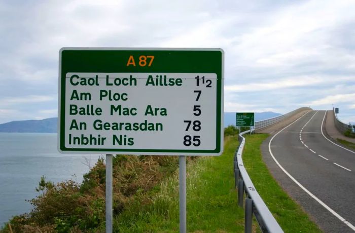 Though the Scottish government provides support for the language, researchers argue that current policies have not been successful in reversing its decline.