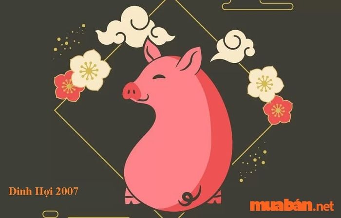Tử vi Đinh Hợi 2007 nữ mạng năm 2024 không gặp phải Tam Tai