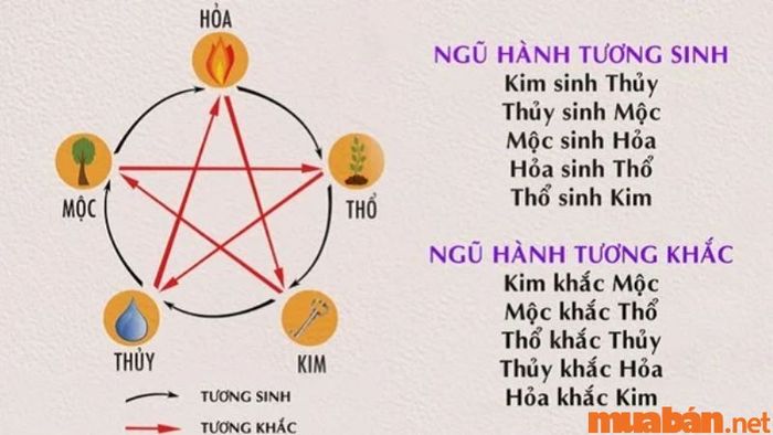 Tử vi Tân Hợi 1971 nữ mạng năm 2024 xét theo ngũ hành