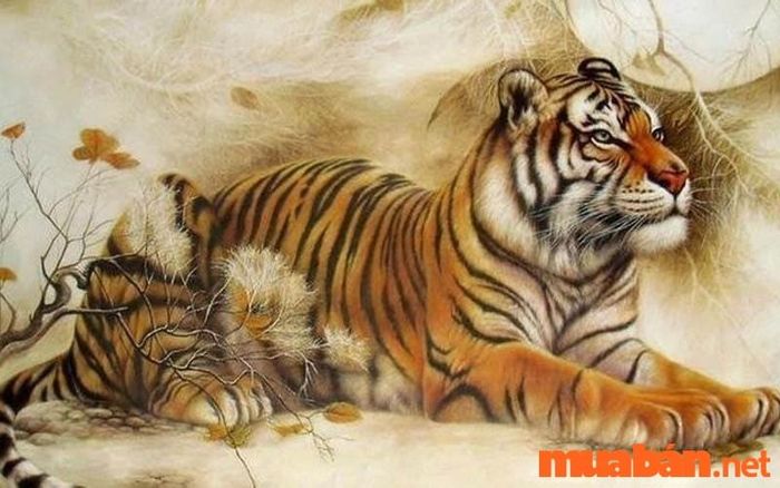 Tuổi Mậu Dần mang mệnh con hổ.