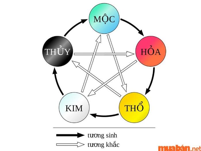 Năm 2024, tuổi Tân Tỵ mang mệnh Hỏa