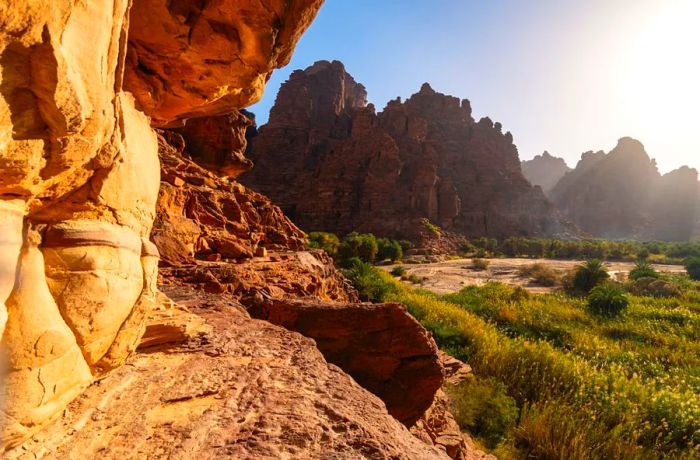 Wadi Al Disah is a lush, spring-fed valley, aptly known as the 'valley of palm trees,' nestled between dramatic sandstone cliffs in the southwest Tabuk province mountains.