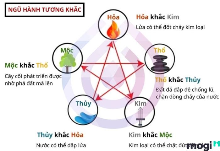 Lục hợp là gì?