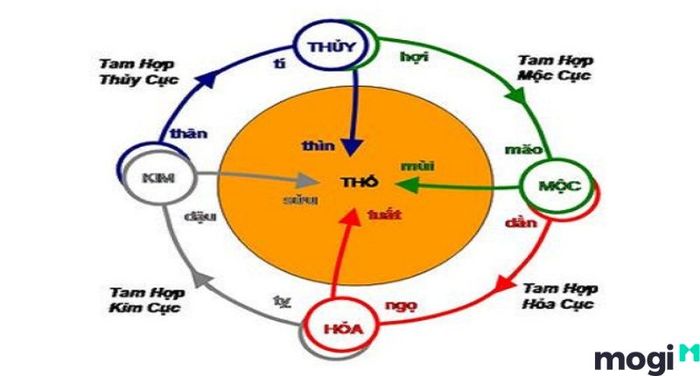 Lục hợp là gì?
