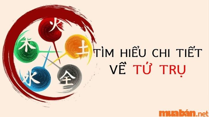 Tử vi Tân Hợi 1971 nữ mạng năm 2024 - Tứ trụ