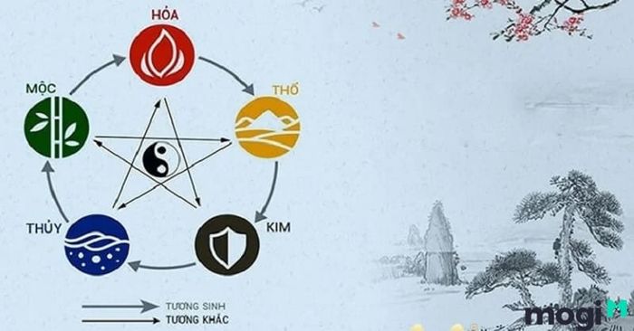 Dần là con gì? Việc tìm hiểu mệnh của tuổi Dần sẽ giúp bạn hiểu rõ hơn về các quy luật tương sinh và tương khắc trong phong thủy.