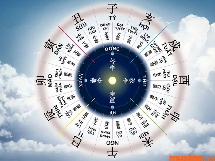 Nữ Tân Tỵ 2001 mang địa chi Tỵ