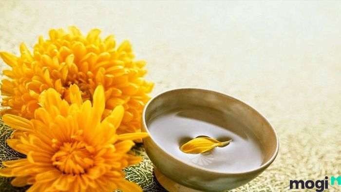 Tết Trùng Cửu