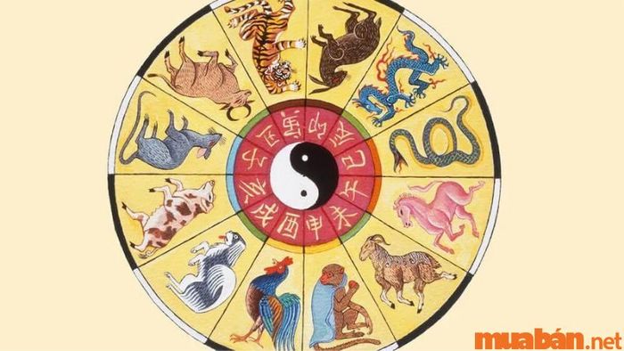 Tử vi Tân Hợi 1971 nữ mạng năm 2024 xét theo địa chi