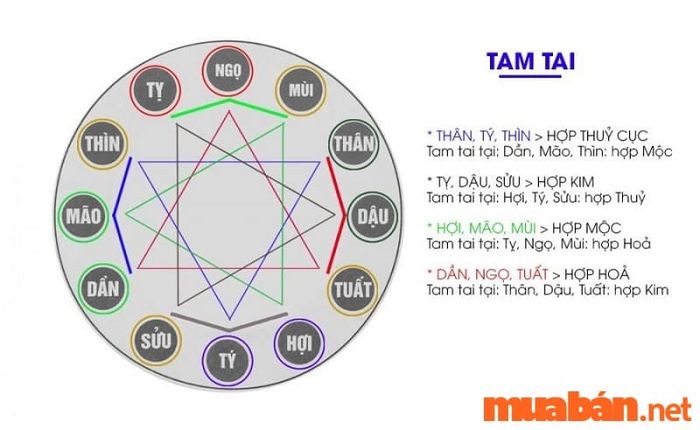 Gia chủ tuổi Mậu Dần xây nhà vào năm 2024 không gặp phải hạn Tam Tai.