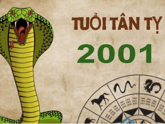Nữ mạng 2001 không gặp phải Thái Tuế trong năm 2024.