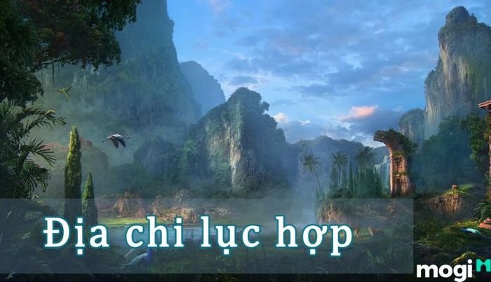 Lục hợp là gì?