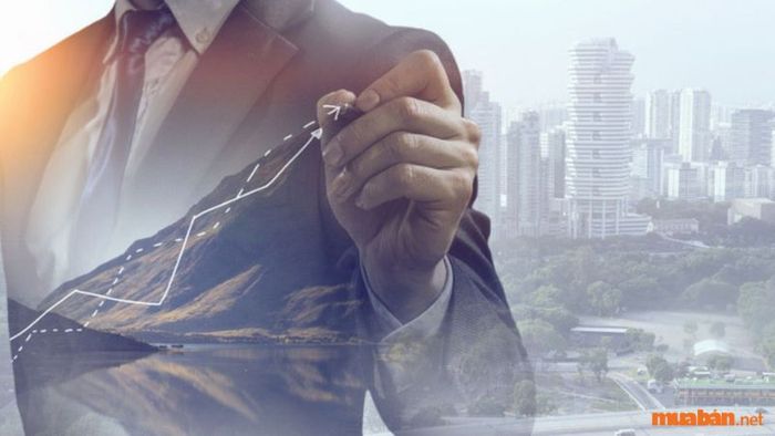 Tác động của sao Quốc Ấn khi gặp hạn sẽ mang lại những cơ hội lớn trong sự nghiệp và cuộc sống của người đó.